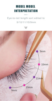 Individual Synthetic Eyelashes Extensions